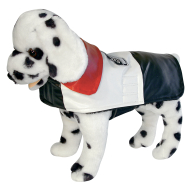 veste-routard-45cm-2062990