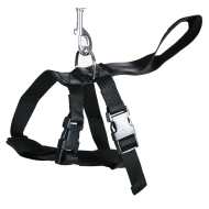 harnais-auto-extra-large-2064421