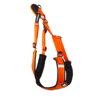 hn-ccross-basic-l-orang-2061831