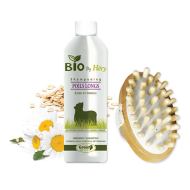 lot-bbh-brosse-massage-2063995